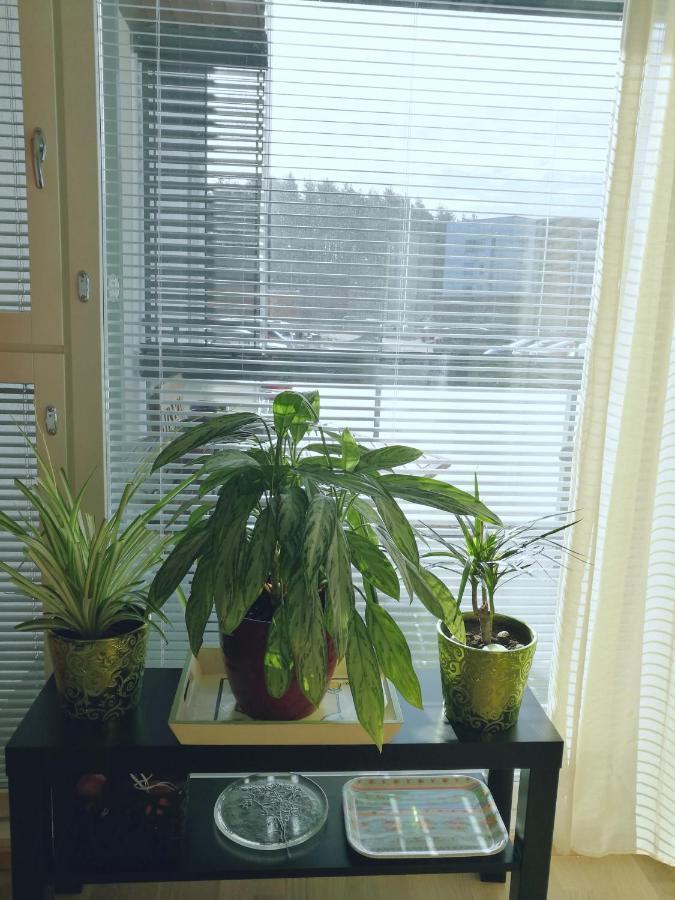 The Wildflower Apartment Turku Ngoại thất bức ảnh